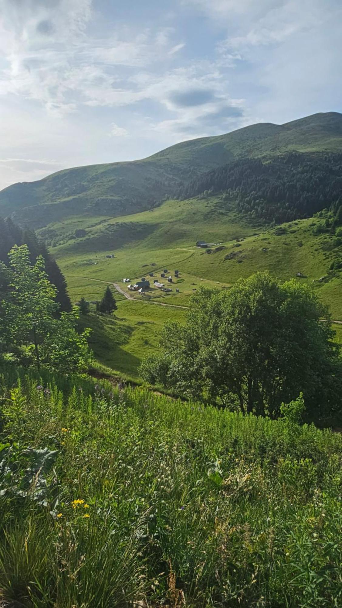 Rural Household Janketic Guest House Kolasin Exterior photo
